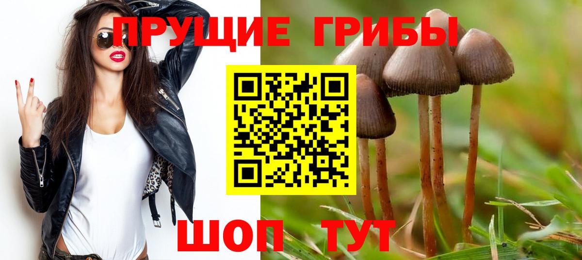 Галлюциногенные грибы Psilocybe Нарьян-Мар