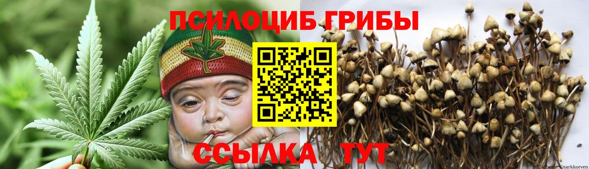 Псилоцибиновые грибы MAGIC MUSHROOMS  Вход с VPN  Нарьян-Мар  Псилоцибиновые грибы Cubensis 